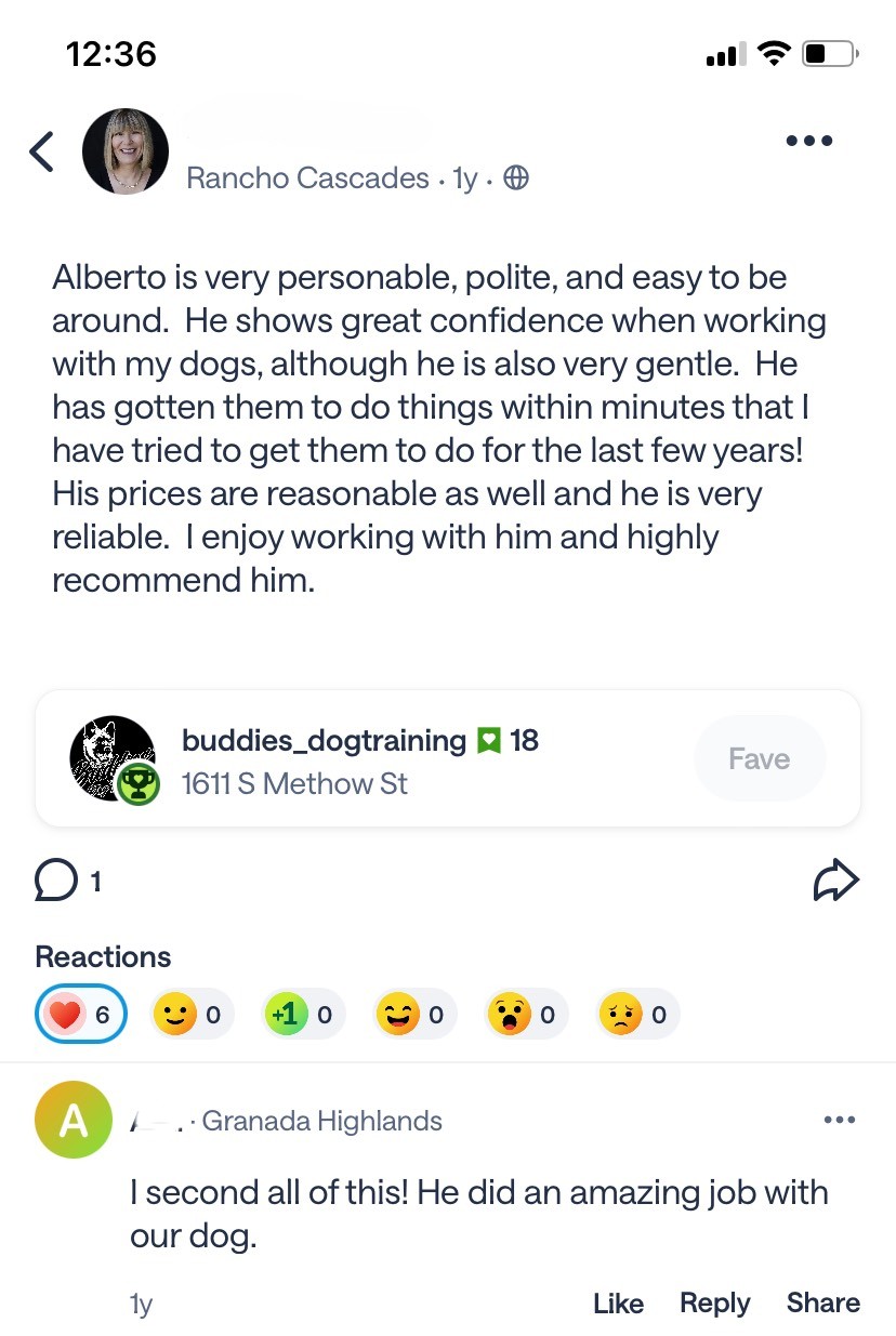 Customer review about Alberto being personable and effective.
