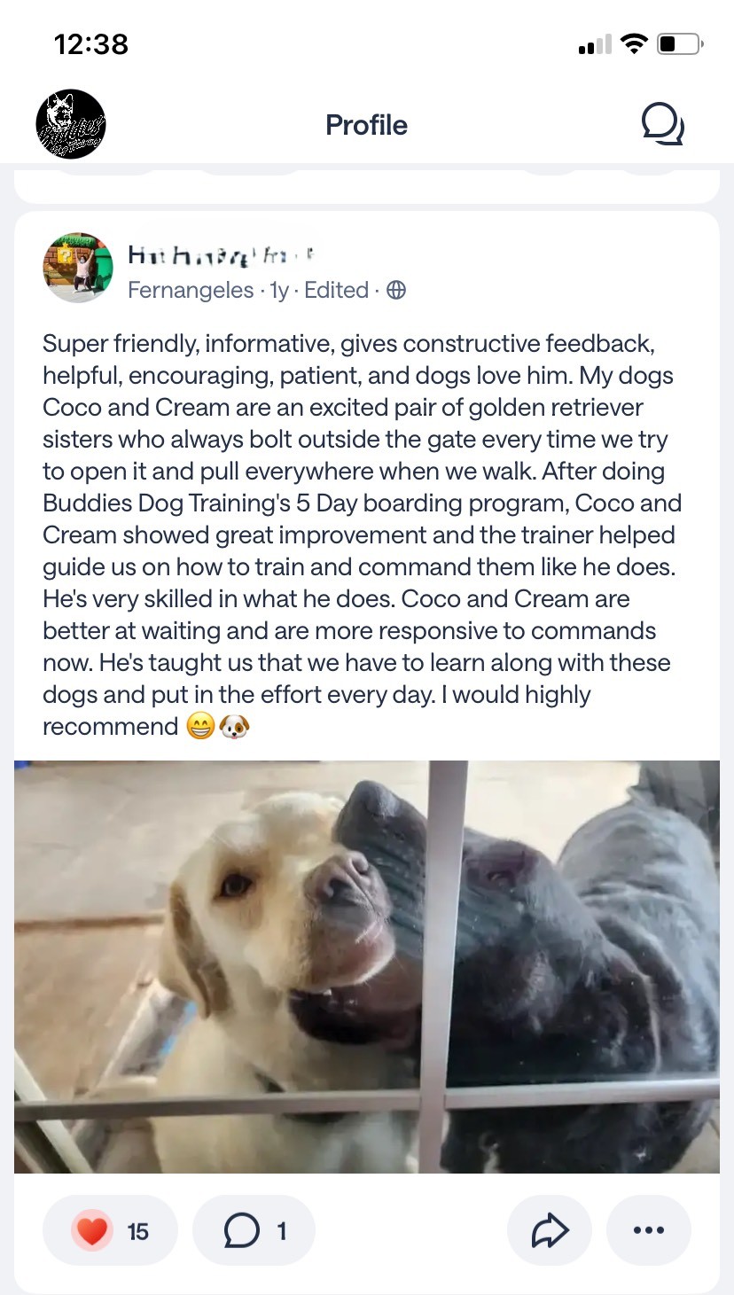 Customer review for dogs Coco and Cream.