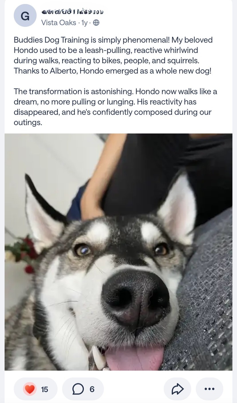 Customer review for dog Hondo.