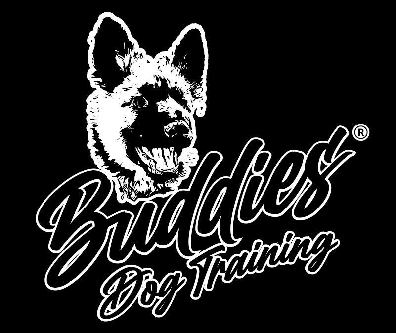 Buddies Dog Training Logo