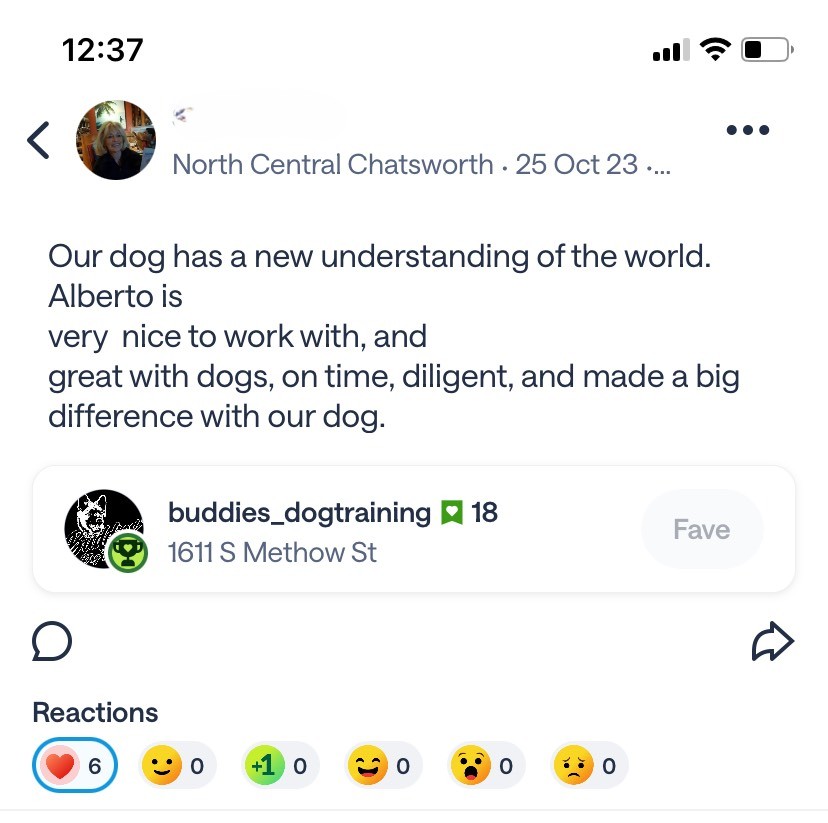 Customer review about dog's new understanding.